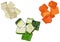 Vegetable Cubes of Celery and Carrots and Zucchini