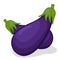 Vegetable eggplant
