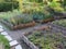Vegetable elevated wicker beds. Gardening equipment for home gardeners.