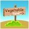 Vegetable Farm Wooden Road Pointer Flat Vector