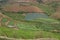 Vegetable farming near Ooty,Tamil Nadu,India