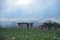 vegetable farms in the foothills of Kinabalu Sabah