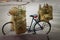 Vegetable fiber baskets being transported on a bicycle