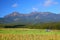 Vegetable field and mountain