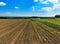 Vegetable fields in spring