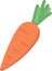 vegetable food a carrot