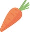 vegetable food a carrot