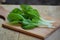 Vegetable, Fresh Oganic Chinese Cabbage, Pok Choi, Bok Choy or Pak Choi on A cutting board