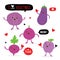 Vegetable and Fruit Cartoon Cute Set Shallot Eggplant Beetroot Cabbage Plum Vector