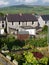 Vegetable garden: allotments