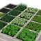 Vegetable garden with assortment vegetables and cold container on white. 3D illustration