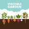 Vegetable garden banner. Organic and healthy food. Poster with r