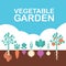 Vegetable garden banner. Organic and healthy food. Poster with root veggies.