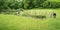 Vegetable Garden at the Johnson Farm at the Peaks of Otter