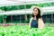 A vegetable garden owner inspects the vegetables he grows in a large hydroponic vegetable garden, grown in water, without