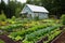 vegetable garden in a self-sufficient homestead