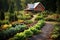 vegetable garden in a self-sufficient homestead