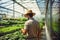 A vegetable grower works in a large industrial greenhouse growing vegetables and herbs.