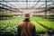 A vegetable grower works in a large industrial greenhouse growing vegetables and herbs.