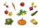 Vegetable hand drawn vector collection