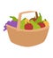 Vegetable harvest basket vector illustration