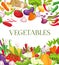 Vegetable and healthy food menu poster. Fresh carrot, tomato, pepper, onion, broccoli, cabbage, garlic, cucumber