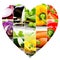 Vegetable Heart slices