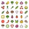 Vegetable icon set 2/2, filled outline icon