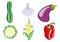 Vegetable icons