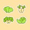 Vegetable icons set collection lettuce radish broccoli cabbage organic fresh taste flavor with color flat cartoon