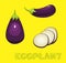 Vegetable Kind Eggplant Vector Illustration