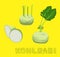 Vegetable Kind Kohlrabi Vector Illustration