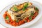 Vegetable lasagne plate