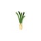 Vegetable leek flat style icon