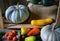 Vegetable marrow, sweet pepper and pumpkins in pantry, still life of organic food