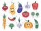 Vegetable mascots. Happy carrot, cute cucumber and pumpkin characters, funny vegetarian food mascot, comic veggies