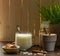 Vegetable milk in a glass Cup and cookies on a dark wooden table with cinnamon and rice grains