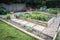 Vegetable Patch