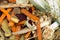 Vegetable peelings in composting pile