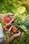 Vegetable picking in a garden