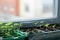 vegetable plants stand on the windowsill before planting in the open ground