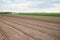 Vegetable plots on agriculture field in suburbs of Hanoi, Vietnam