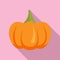 Vegetable pumpkin icon, flat style