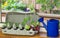 Vegetable seedlings growing in reused egg box on window ledge