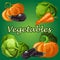 Vegetable set, cabbage, eggplant, carrot, pumpkin