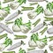 Vegetable set seamless pattern, fennel, haricot and daikon radishes on white background, vector hand draw illustration
