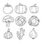 Vegetable sketch. Tomato, pumpkin, pepper, broccoli and cabbage. Cauliflower, garlic, ginger and onion. Thin outline icon. Black
