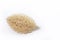 Vegetable sponge - Luffa operculata. White background