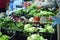 Vegetable street market. Green salads and various vegetables