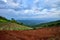 Vegetable Terrace in the mountains